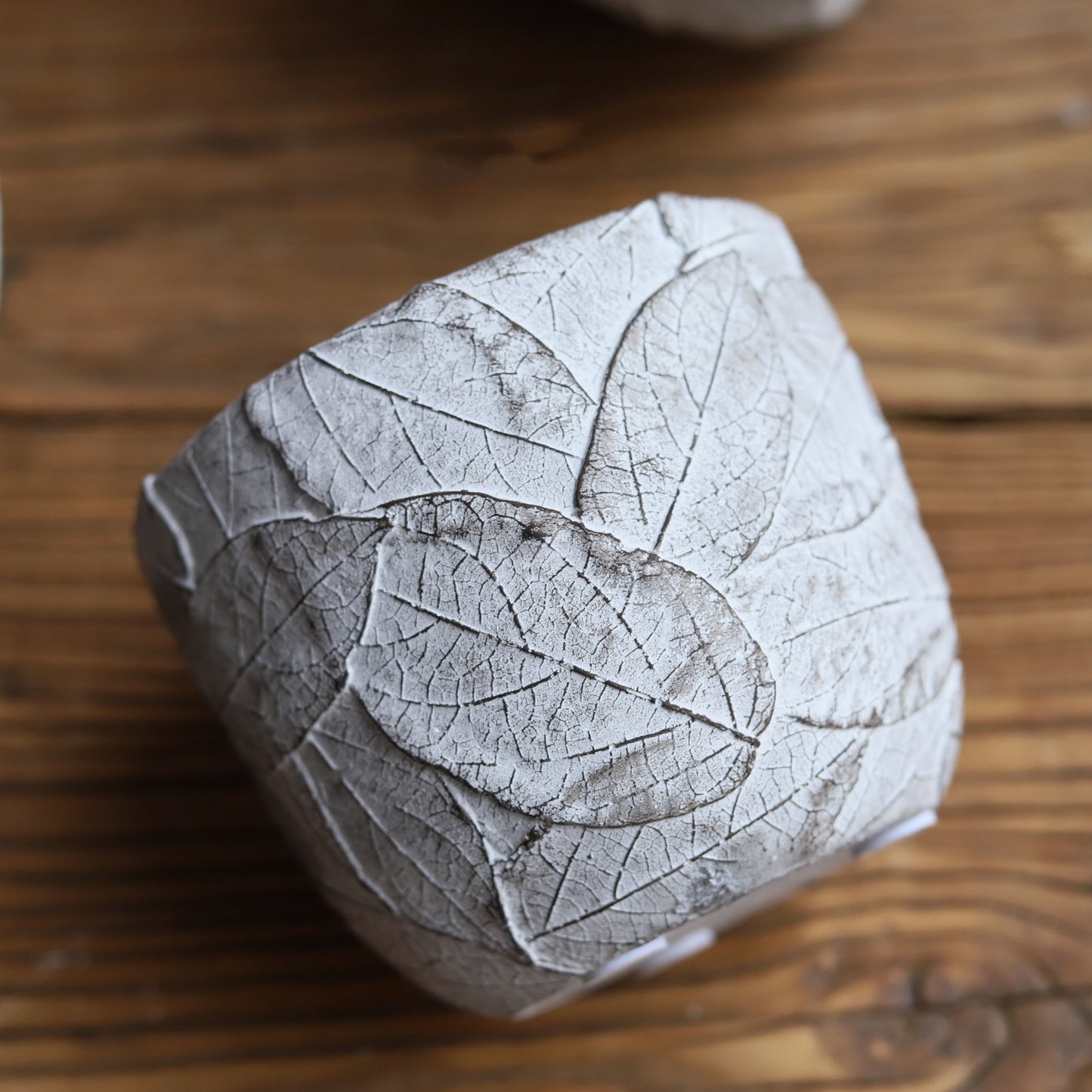 Cement Flower Pot with Embossed Leaves